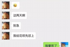 武宁专业催债公司的市场需求和前景分析